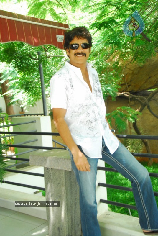 Nagarjuna Gallery - 17 / 37 photos