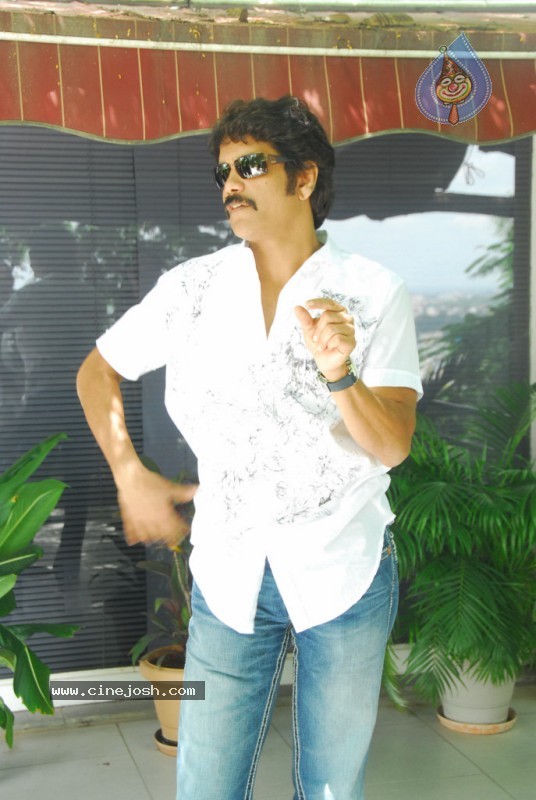 Nagarjuna Gallery - 32 / 37 photos