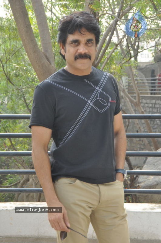 Nagarjuna Solo Stills - 27 / 58 photos