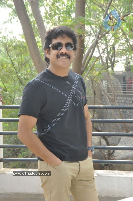 Nagarjuna Solo Stills - 31 / 58 photos