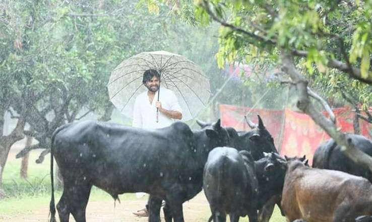 Pawan Kalyan Latest Stills - 10 / 33 photos