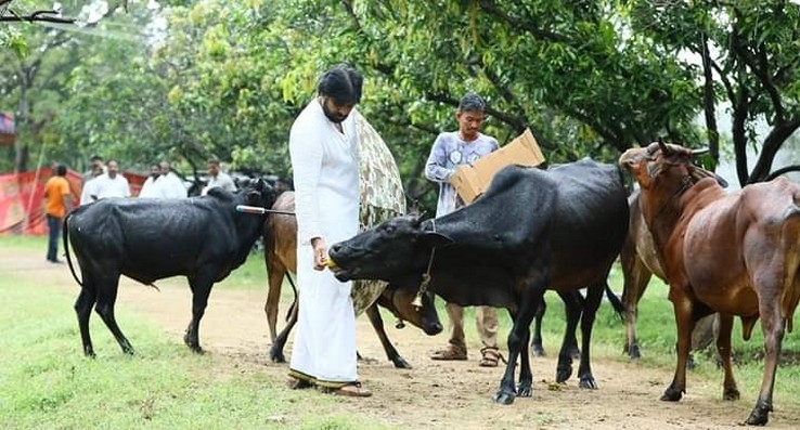 Pawan Kalyan Latest Stills - 17 / 33 photos