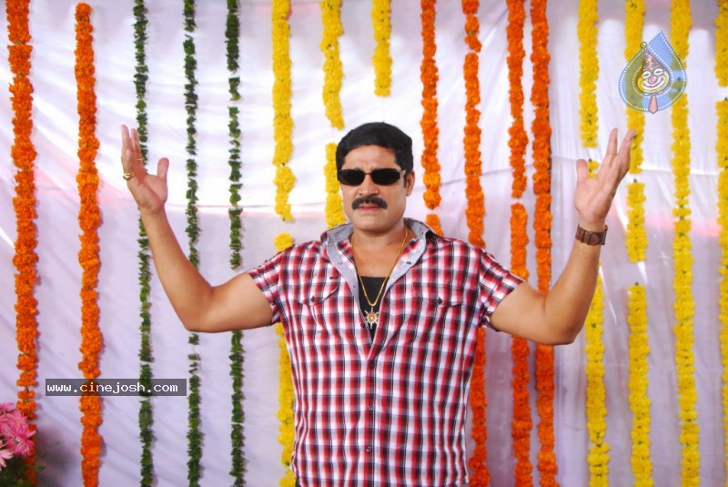 Srihari Gallery - 9 / 28 photos