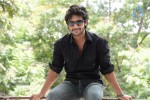 Aadi New Stills - 43 of 44
