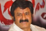 Balakrishna at Srimannarayana Movie Success Meet - 1 of 57