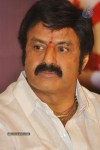Balakrishna at Srimannarayana Movie Success Meet - 35 of 57