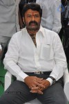 Balakrishna Latest Photos - 30 of 66