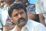 Balakrishna Latest Photos - 34 of 66