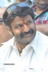 Balakrishna Latest Photos - 37 of 66