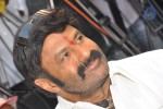 Balakrishna Latest Photos - 49 of 66