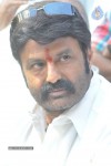 Balakrishna Latest Photos - 50 of 66