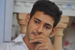 Mahesh Babu Latest Stills - 42 of 72