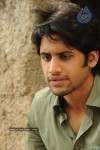 Naga Chaitanya Gallery - 28 of 32