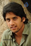 Naga Chaitanya Gallery - 31 of 32