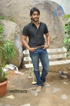 Naga Chaitanya Photos - 37 of 44