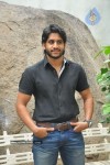 Naga Chaitanya Photos - 44 of 44