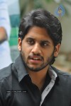 Naga Chaitanya Photos - 52 of 44