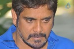 Nagarjuna New Gallery - 30 of 75