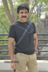 Nagarjuna Solo Stills - 29 of 58