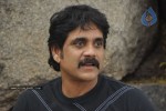 Nagarjuna Solo Stills - 45 of 58