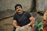 Nagarjuna Solo Stills - 49 of 58