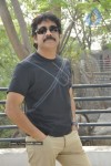 Nagarjuna Solo Stills - 52 of 58