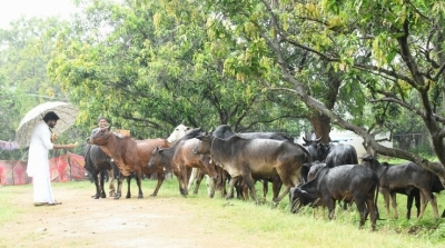 Pawan Kalyan Latest Stills - 30 of 33