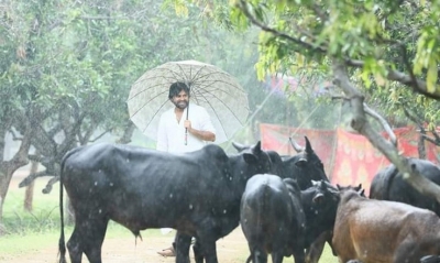 Pawan Kalyan Latest Stills - 31 of 33