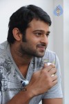 Prabhas New Gallery - 4 of 73