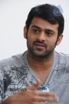 Prabhas New Gallery - 15 of 73