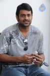 Prabhas New Gallery - 16 of 73