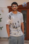 Prabhas New Gallery - 26 of 73