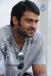 Prabhas New Gallery - 33 of 73