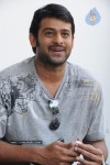 Prabhas New Gallery - 35 of 73