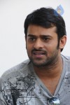 Prabhas New Gallery - 41 of 73