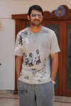 Prabhas New Gallery - 44 of 73