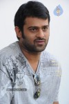 Prabhas New Gallery - 46 of 73