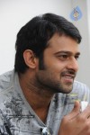 Prabhas New Gallery - 49 of 73