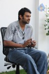 Prabhas New Gallery - 50 of 73