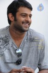 Prabhas New Gallery - 53 of 73