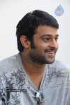 Prabhas New Gallery - 55 of 73