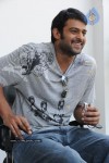 Prabhas New Gallery - 61 of 73