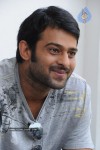 Prabhas New Gallery - 67 of 73