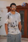 Prabhas New Gallery - 69 of 73