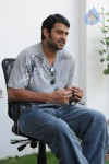 Prabhas New Gallery - 71 of 73