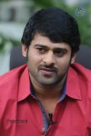 Prabhas Stills - 2 of 75