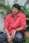 Prabhas Stills - 8 of 75