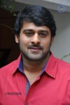 Prabhas Stills - 10 of 75