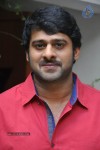 Prabhas Stills - 31 of 75