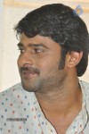 Prabhas Stills - 45 of 75